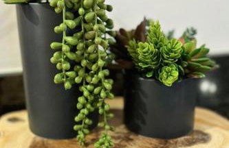 Presidential Dr - Foto 48