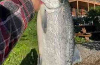 Kenai Living Waters - Fishing Paradise - Foto 28