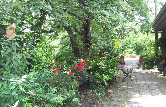 Cirasellaetna - Foto 17