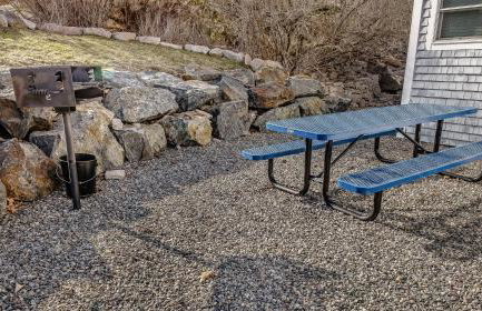 Acadia Mtn ViewUpdated 1880s Home Pets Fire Pit - Foto 13