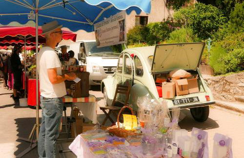 Chateau des Gipières bij de Mont Ventoux - Foto 46