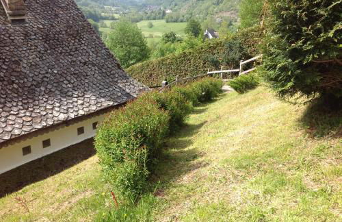 Chalet avec vue panoramique sur le Plomb du Cantal - Foto 24