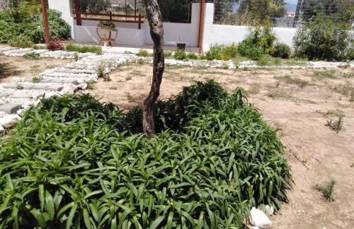 Alexadra's house Κάτω Αλμυρή - Foto 31