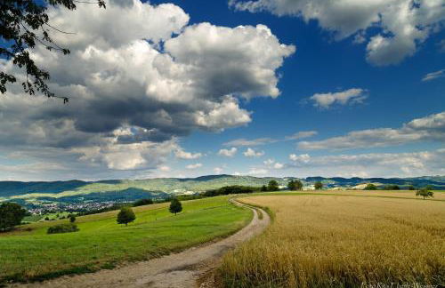 Ferienwohnung Mörlenbach - Foto 23