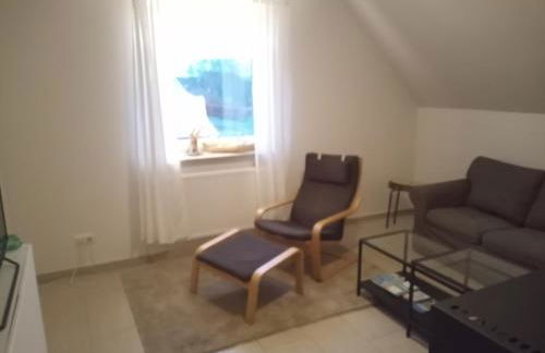 Strandrose - Foto 16