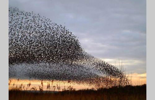 Self contained annexe in the heart of Wedmore - Foto 44