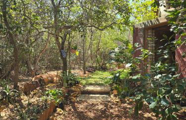 Casa Ecológica - Foto 20