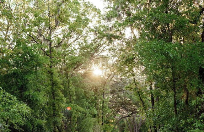 Postcard Cabins Kettle River, Outdoor Collection by Marriott Bonvoy - Foto 22