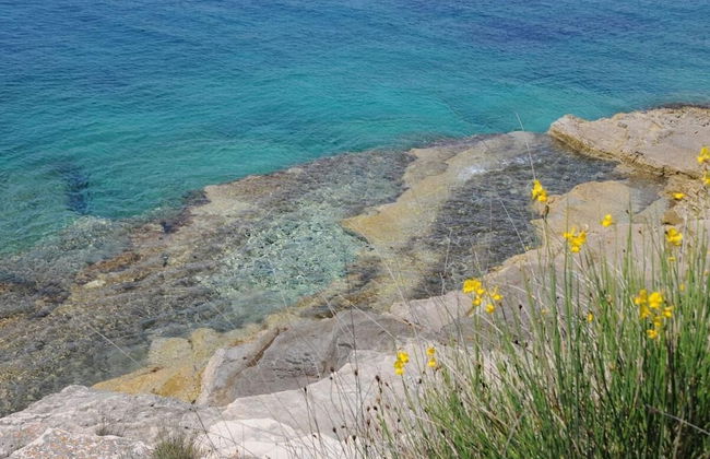 Apartment´s Petar - Two Bedrooms - Foto 24