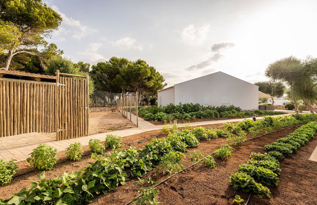 Lago Resort Menorca - Villas & Bungalows del Lago - Photo 58