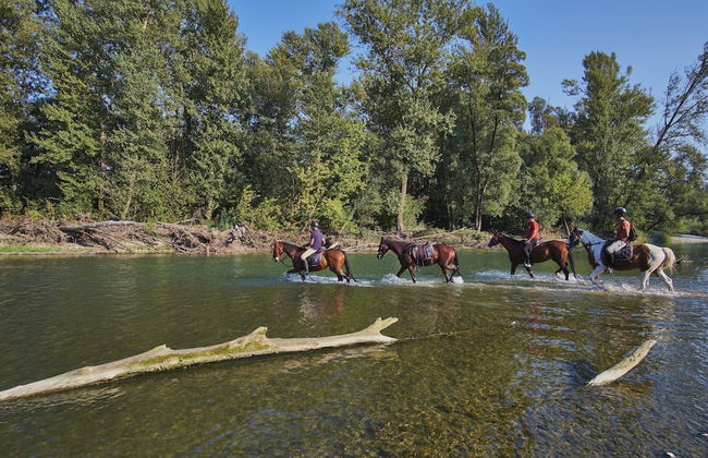 Holiday House Podhamer Marijan - Foto 44