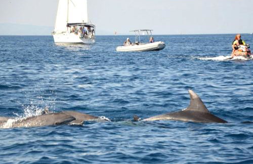 La Marina - Foto 56
