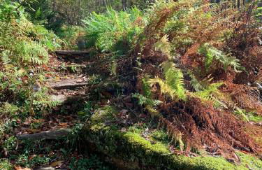 Fireplace Catskill Views Overlook Lake Cabin - Foto 66
