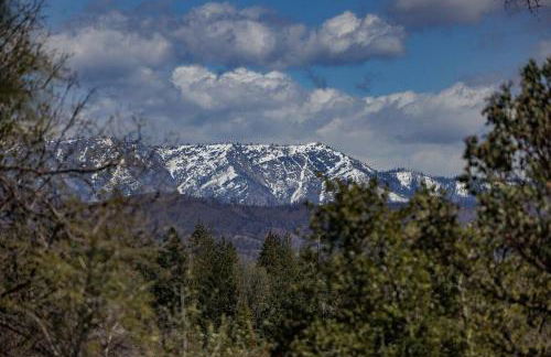 Cozy Cub Cabin, brand new home near Yosemite - Foto 22