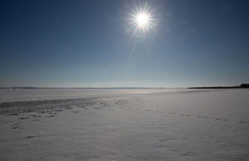 Haus an der Peene - Foto 20