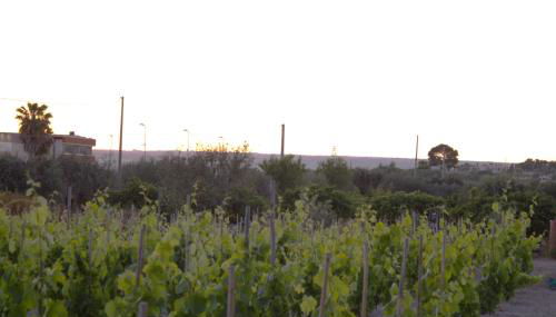 San basilio guest house - Foto 2