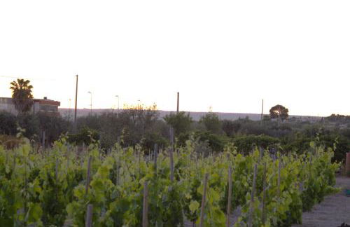 San basilio guest house - Foto 2