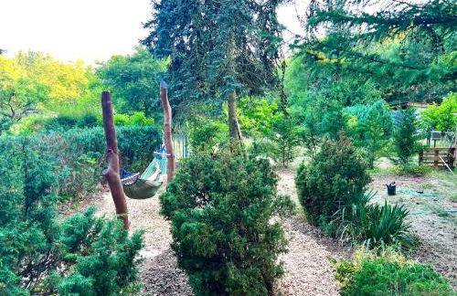 Holzhaus Bärenhöhle am Wald und See - Photo 16