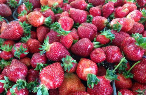 Cascina Folletto - Foto 17