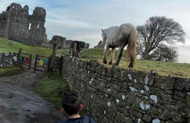 Family & friends get together birthday hot tub - Foto 71