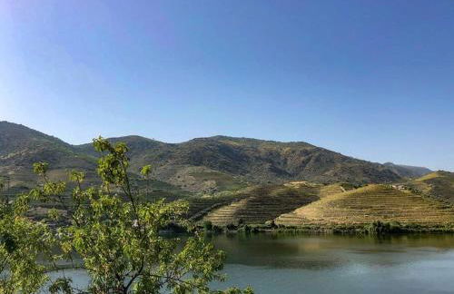 Casa da Praça - Foto 36