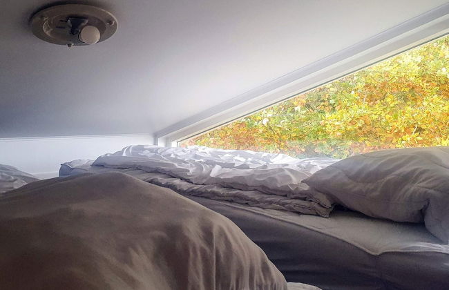 8 Person Holiday Home in Aabenraa-by Traum - Foto 24