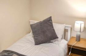 Y Fedw Wen - Foto 24