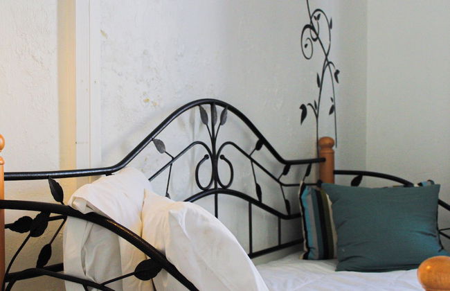 Gladiolas 2202 - Foto 10