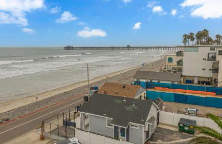 The Shining Sea Crab - Foto 28