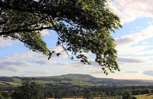 Wensleydale Halls - Photo 34