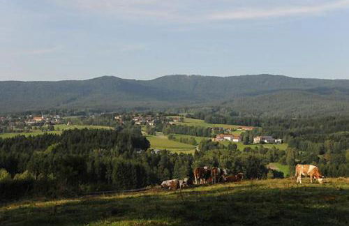 Exenbacher Hof - Foto 48