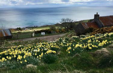 The Stroops - Foto 22