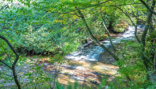 Tucked away in the woods - minutes to the New River - Acreage to explore! - Foto 3