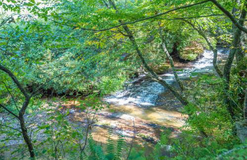 Tucked away in the woods - minutes to the New River - Acreage to explore! - Foto 3