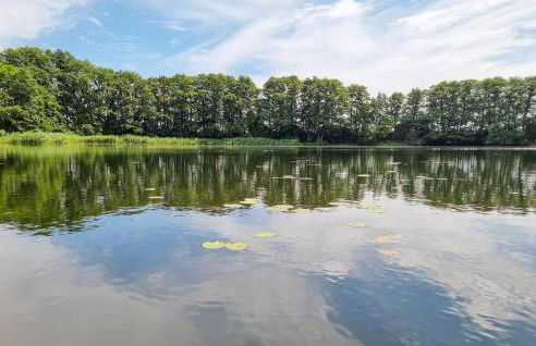 Pet Friendly Apartment - Foto 16