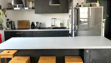 Appartement 2 chambres-garage Lyon Montchat - Foto 3, stove, dishwasher