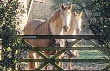 Rural Farm Cottage nr Canterbury - logburner, parking, 2bed and 2bath -idyllic setting - Foto 28