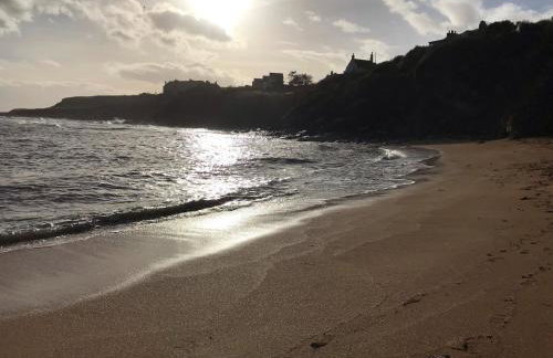 Sandpipers - Foto 20