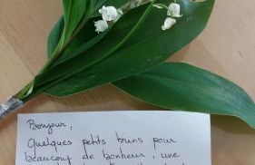 Fleur de Vigne - Foto 29