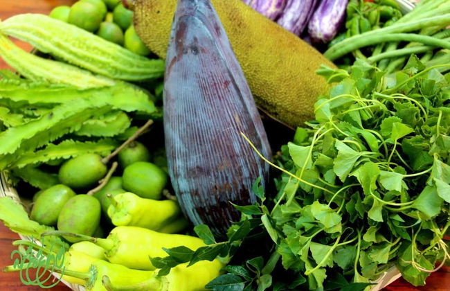 Beddegama Eco - Photo 23