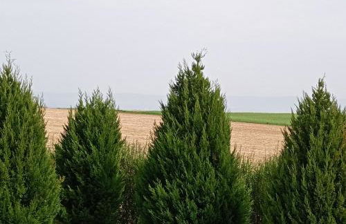 Cottage Living - Foto 11