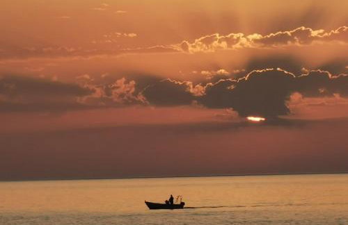 Blue Coast House - Foto 48