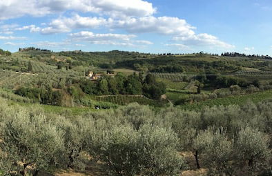 Il Poggiarello Toscano - Photo 34