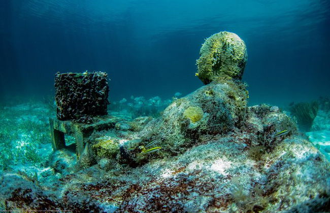 Das unerschrockenste Speedboat-Abenteuer in Cancun Schnorchel inklusive - Foto 14