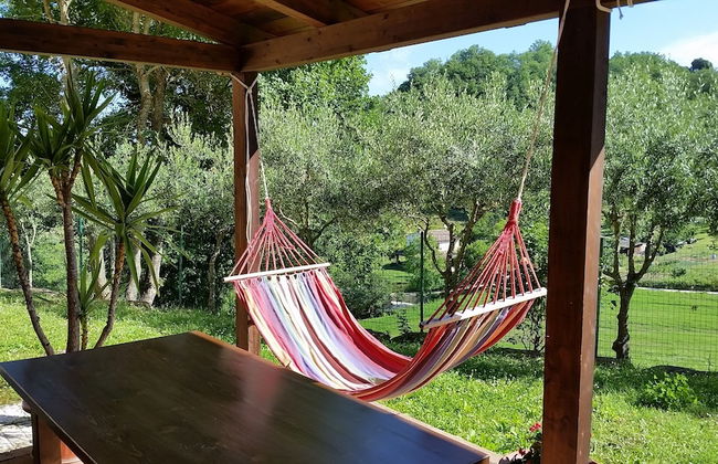 Agriturismo Pascucci - Foto 32