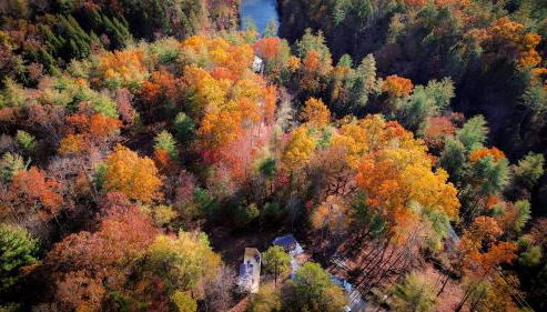 Staghorn | Modern Lux Mirror Home | HotTub & Woods - Foto 4, Other