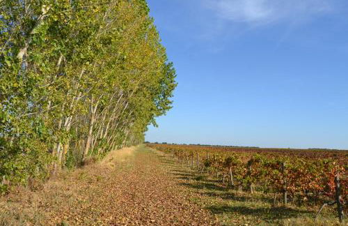 Casinha das Flores - Foto 20