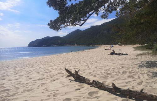 4 suites, piscine, Casa Rio-Dora by SesimbraSunSea - Foto 45