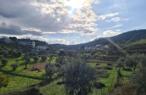 Quinta dos Milagres Casa dos Bigodes - Photo 18