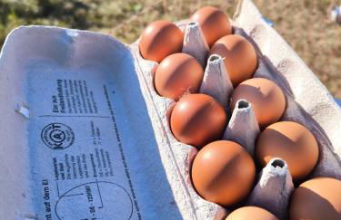 FeWo Renken - Foto 36